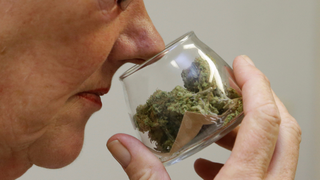 Self-Driving Cars Won't Deliver You Weed In California